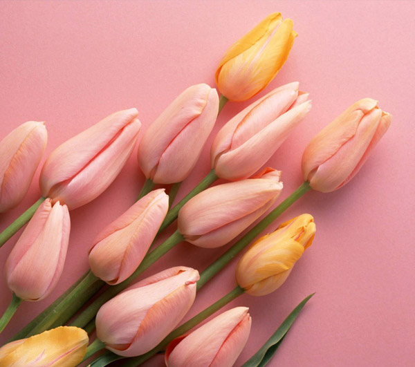 婚纱摄影工作室哪家好