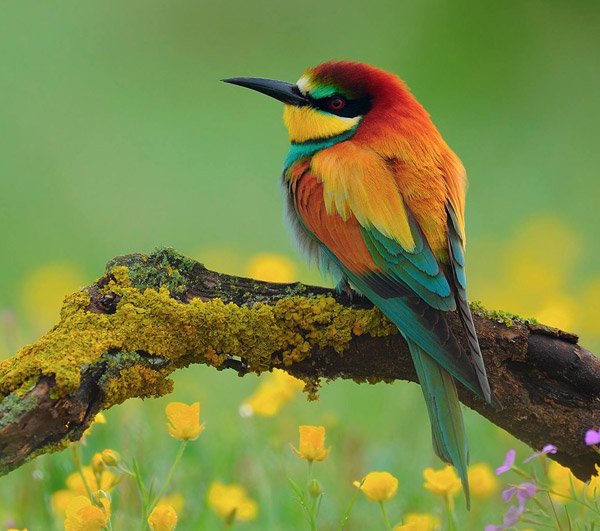 婚纱照怎么拍摄才能更自然
